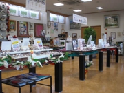 ジュエルキクチ下館店店舗写真